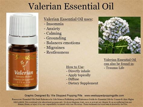 Valerian Living Essentials Oils Valerian Essential Oil Essential Oils