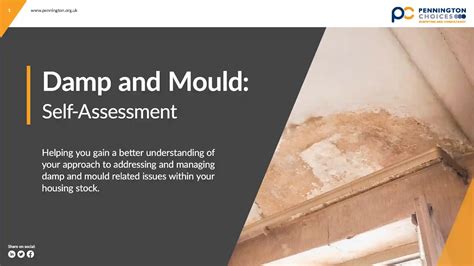 Damp And Mould Surveys Pennington Choices