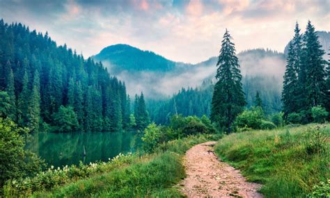 nature