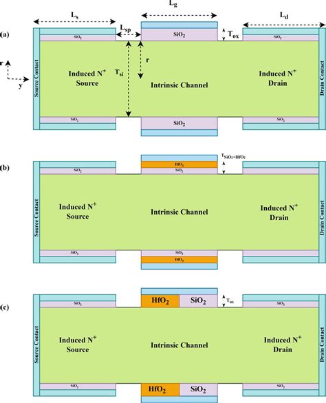 2 D Cross Sectional Schematics Of A Ccpnwt B Sgo Cpnwt And C