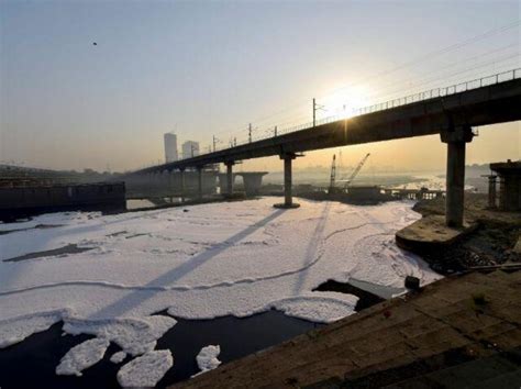 NGT forms high-level committee to deal with pollution in Yamuna river ...