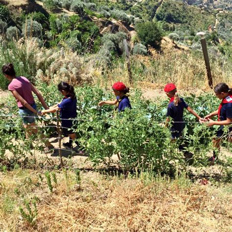 Coldiretti Giovani Calabria L Agricoltura Sociale Per L Inclusione