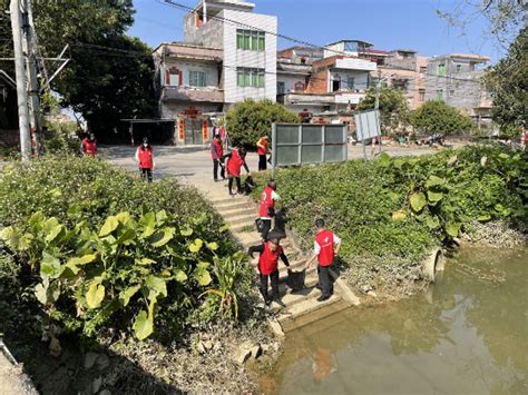 中洲街道开展“学雷锋 展新风 争当河小青”志愿服务活动