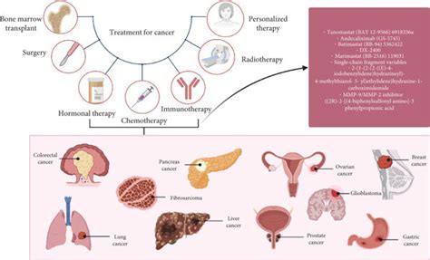 Types Of Cancer Treatment Different Modalities Evolving From