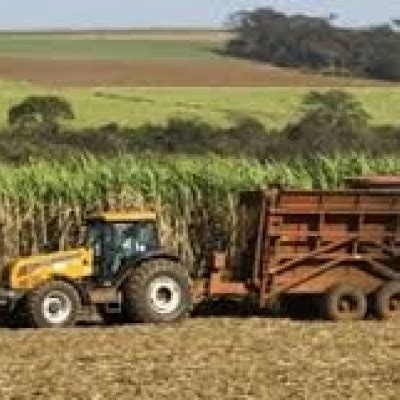 Datagro Prev Recordes Para Moagem De Cana E Produ O De A Car Do