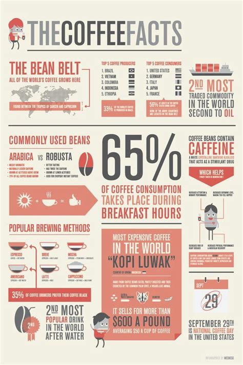 Coffee Facts Sheet Design De Infográficos Café Infográfico Café