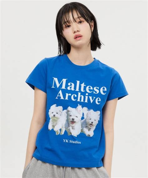 MUSINSA WAI KEI Maltese Archive Short Sleeve T Shirt Blue