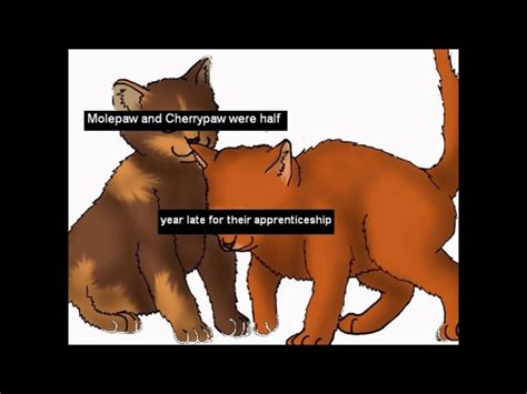 True fact | Warrior Cats Warrior Cat Memes, Warrior Cats Books, Warrior ...