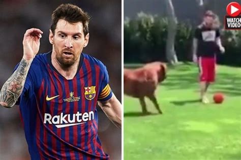 Lionel Messi’s dog leaves fans in stitches in rondo clip with kids ...