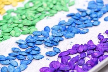 How To Dye Pumpkin Seeds Plus Easy Pumpkin Seed Crafts