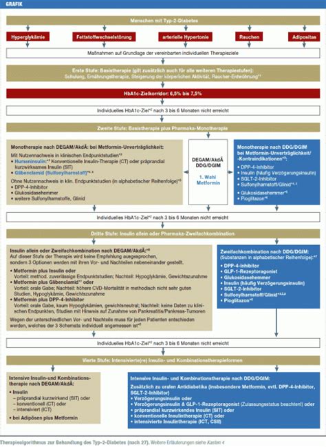 Therapie Des Diabetes Mellitus Typ 2