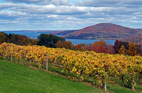 Canandaigua Lake Wine Trail | Canandaigua, NY