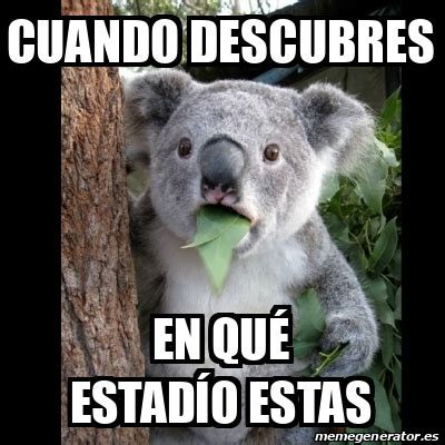 Meme Koala Cuando Descubres En Qu Estad O Estas