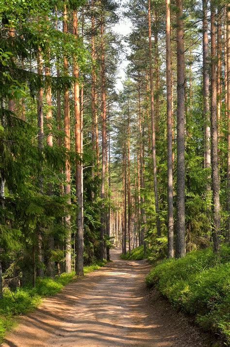 iisi pinssi pre page