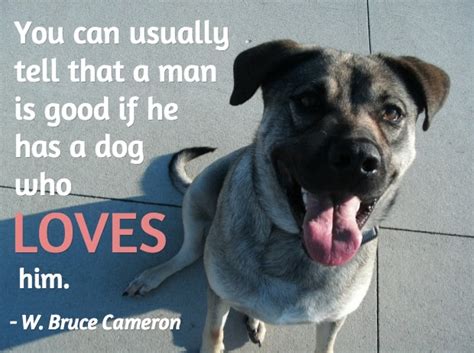 25 Dog Quotes (With Pictures!)