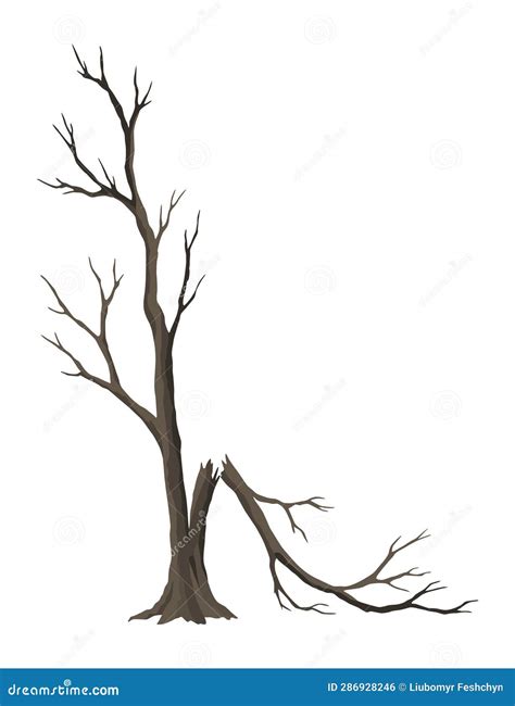 Old Dead Tree Rough Spooky Bark Dry Naked Branch Silhouette Vector Scary Forest Leafless