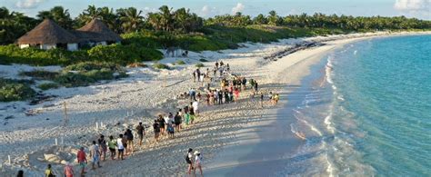 XX Aniversario del Festival de la Tortuga Marina Tulum 2022 Cancún