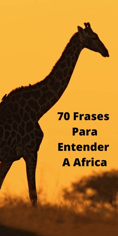 Las frases de África te ayudaran a ampliar tu conocimiento sobre el