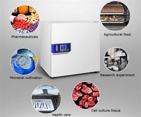 Laboratory Microbiology Thermostatic Heating Incubator With Constant