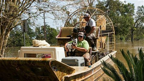 Texas Zoo in Victoria evacuates animals from Harvey flooding - ABC7 New York