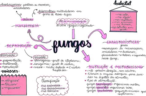 Mapa Mental De Reino Fungi Mema Porn Sex Picture