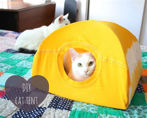 Diy Comment Faire Une Cabane Pour Chat Facile