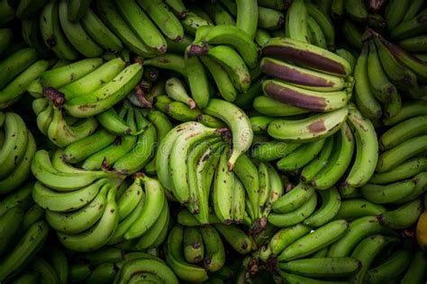 Plenty Of Fresh Banana Stock Image Image Of Texture 155099313