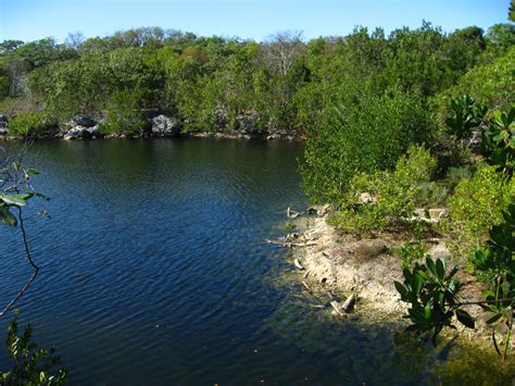 Dagny Johnson Key Largo Hammock Botanical State Park 017