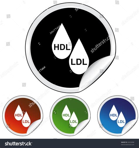 Hdl Ldl Cholesterol Stock Vector 50925898 Shutterstock