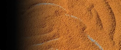 indonesia facilities processing centres