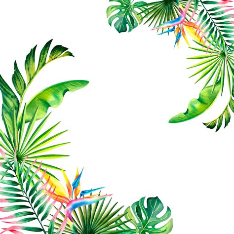 Palm Branch Border Clip Art