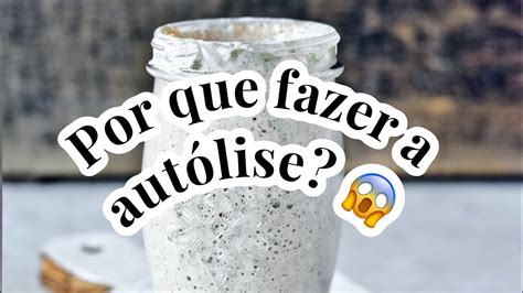 O que é o processo da autólise da massa YouTube