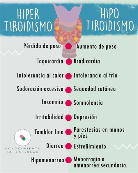 Endocrinologia Hipertireoidismo O Que Causa Sinais E Sintomas E Como