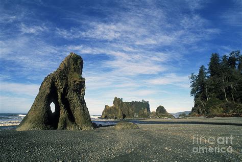 Ruby Beach Sea Stacks Photograph by Greg Vaughn - Printscapes