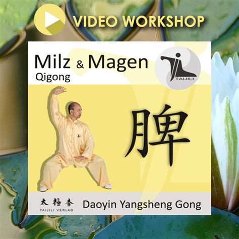 Video Workshop Milz Und Magen Qigong F R Alle Qigong Shop