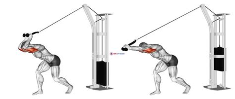 Overhead Cable Tricep Extension