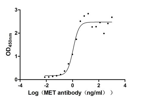 Recombinant Human Hepatocyte Growth Factor Receptor MET Partial