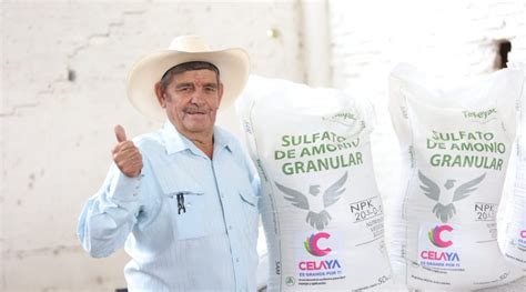 Entrega Municipio Y Sdayr Fertilizante A Productores Agr Colas