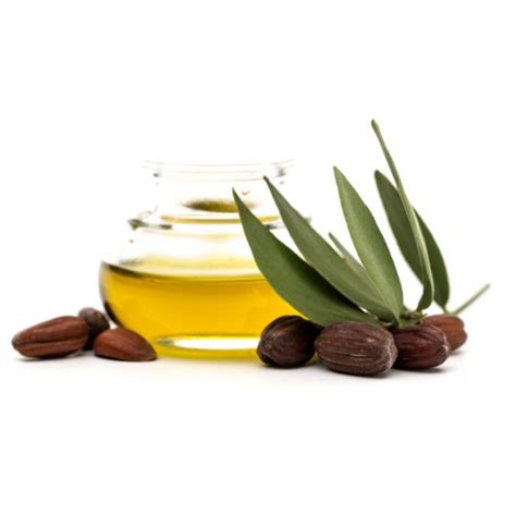 Buy Bulk Jojoba Oil Golden Jedwards International