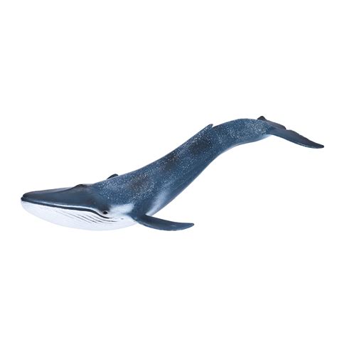 Popular Blue Whale Toy Mini, Marine Life Plastic Sea Animal Figure for ...