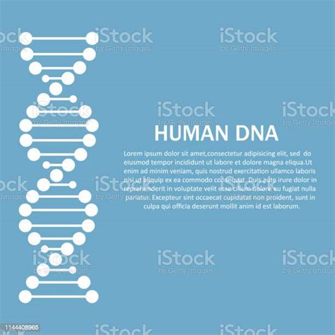 인간 Dna 벡터 디자인 일러스트 Dna에 대한 스톡 벡터 아트 및 기타 이미지 Dna 개념 개념과 주제 Istock