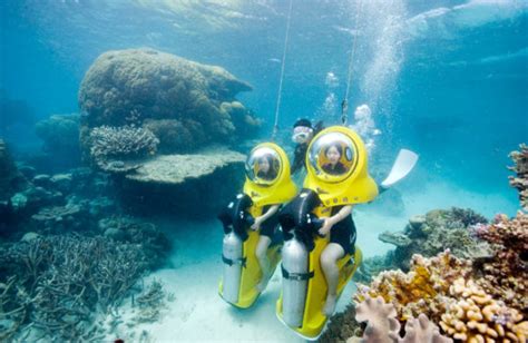 Experience the Great Barrier Reef Under Water on Scubadoo! - Great ...