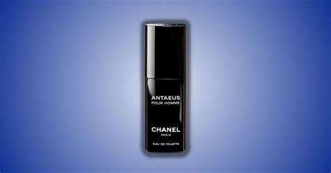 Chanel Antaeus EDT Review - Everything You Need To Know - Besuited Aroma