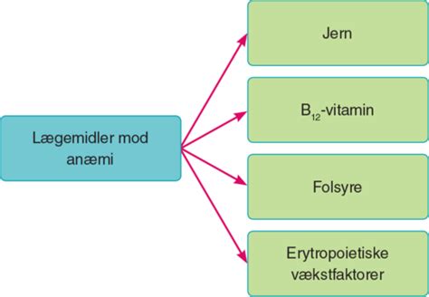 Mikronæringsstoffer - vitaminer, mineraler og sporstoffer Flashcards ...