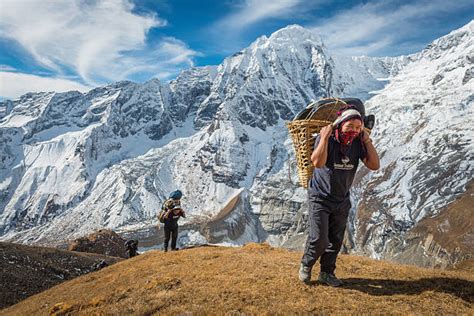 120 Sherpa Porters Carrying Heavy Loads Himalayas Nepal Stock Photos