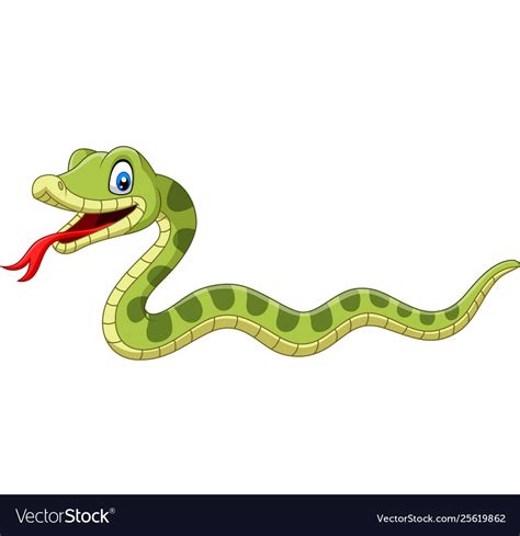 Cute Green Snake Cartoon On White Background Vector Image