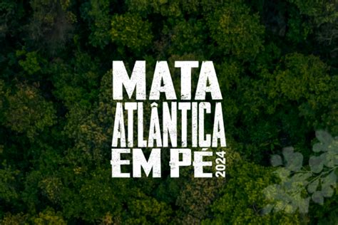 Mata Atlântica em Pé 2024 Ministérios Públicos de 17 Estados