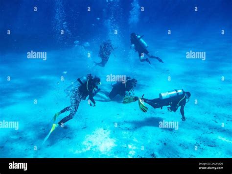 Scuba Diving explore the Red Sea, Egypt Stock Photo - Alamy