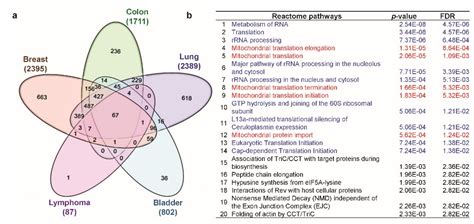 Jcm Free Full Text Systematic Multiomics Analysis Of Alterations In