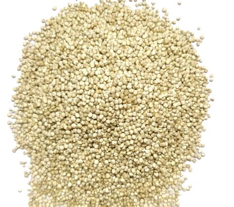 Quinoa Seeds Manufacturers & Exporters - Apexherbex